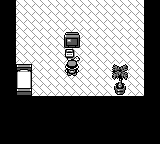 After starting the game